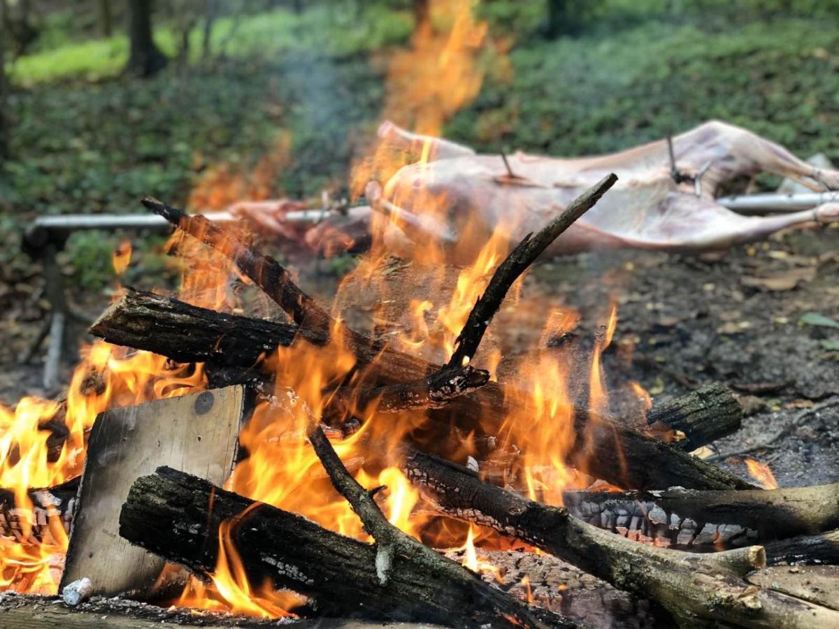Baranja Black Hill'S Gajic Extérieur photo