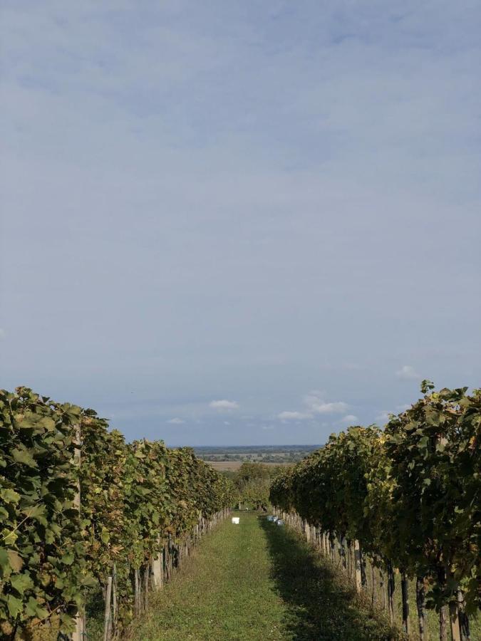 Baranja Black Hill'S Gajic Extérieur photo