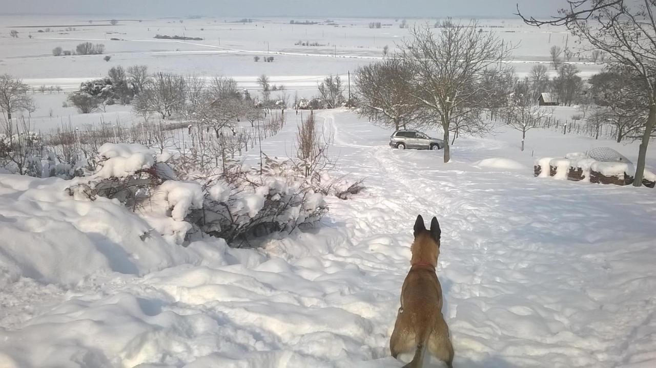 Baranja Black Hill'S Gajic Extérieur photo