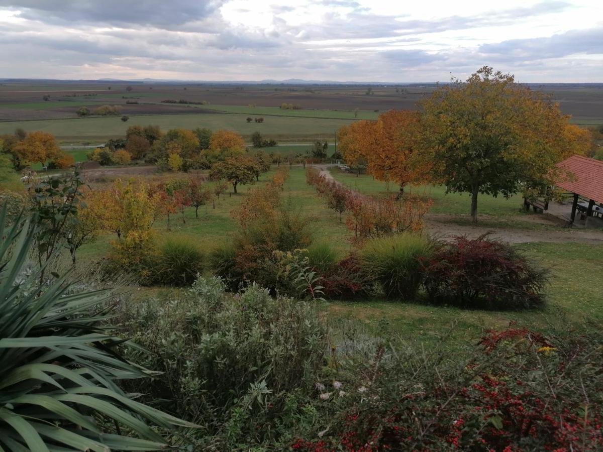 Baranja Black Hill'S Gajic Extérieur photo