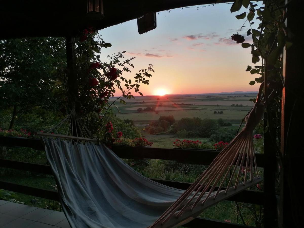 Baranja Black Hill'S Gajic Extérieur photo