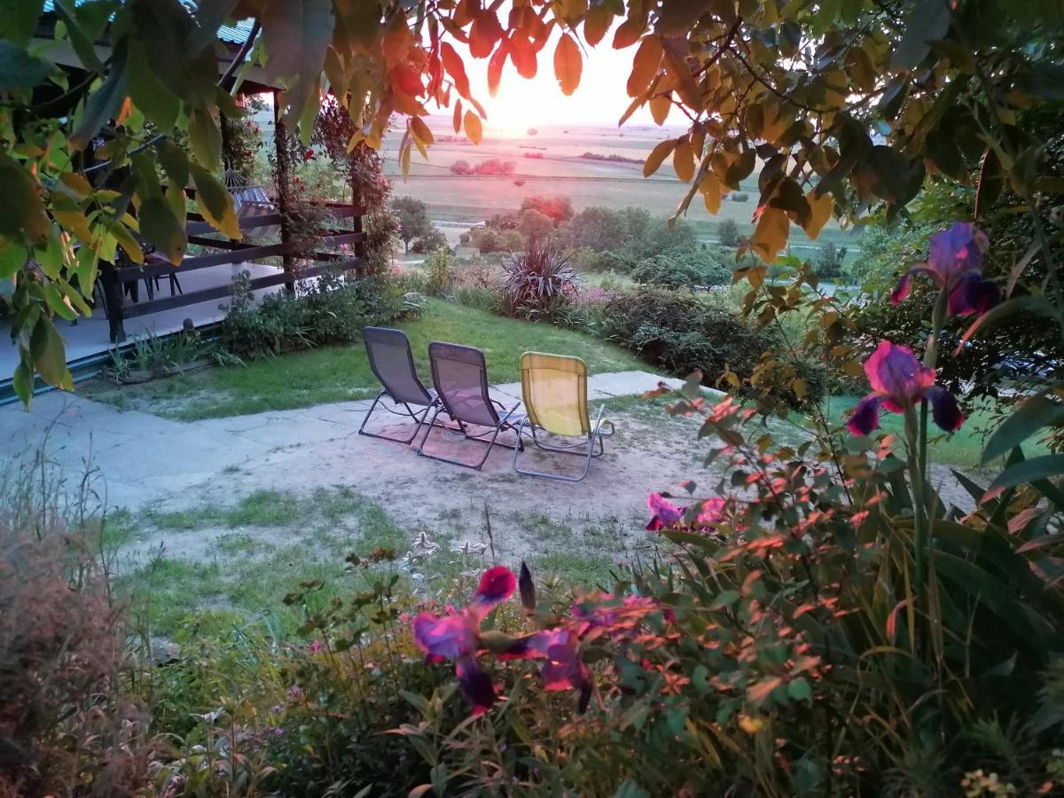 Baranja Black Hill'S Gajic Extérieur photo