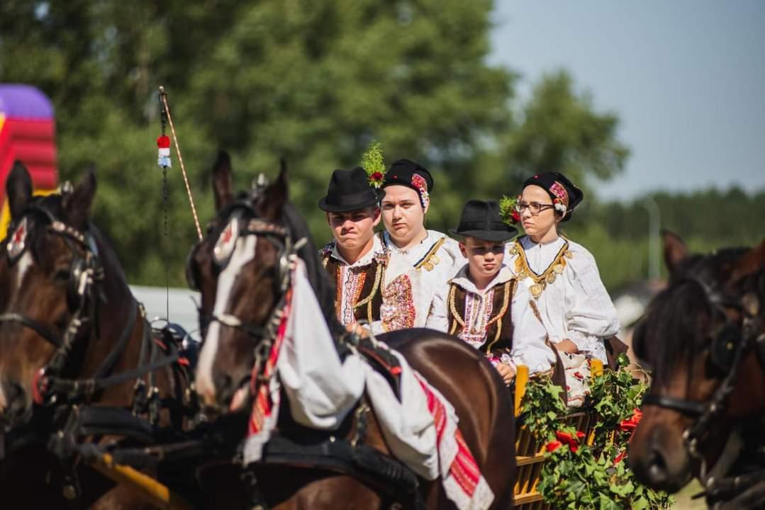 Baranja Black Hill'S Gajic Extérieur photo