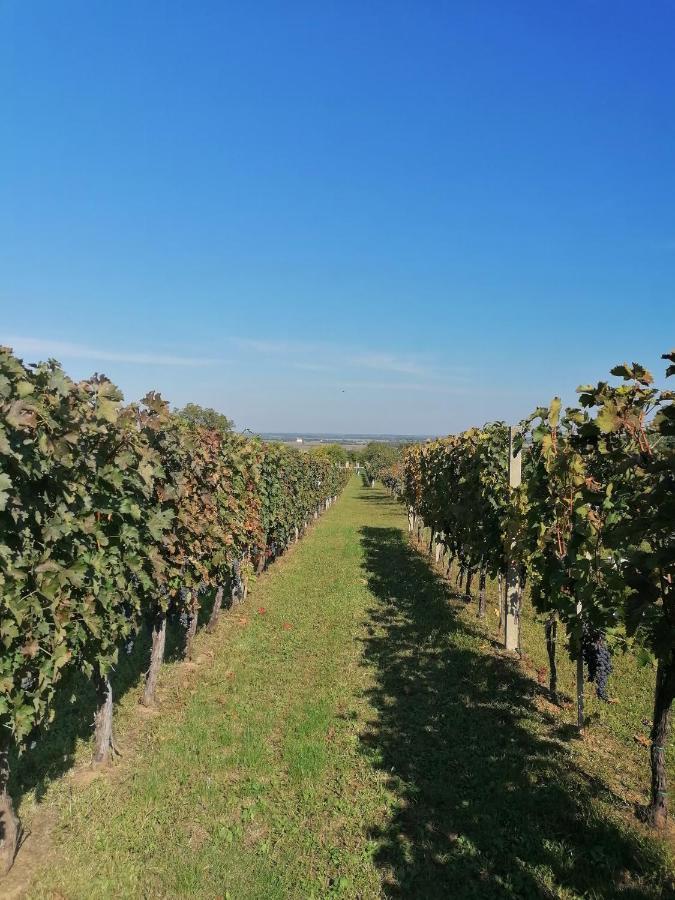 Baranja Black Hill'S Gajic Extérieur photo